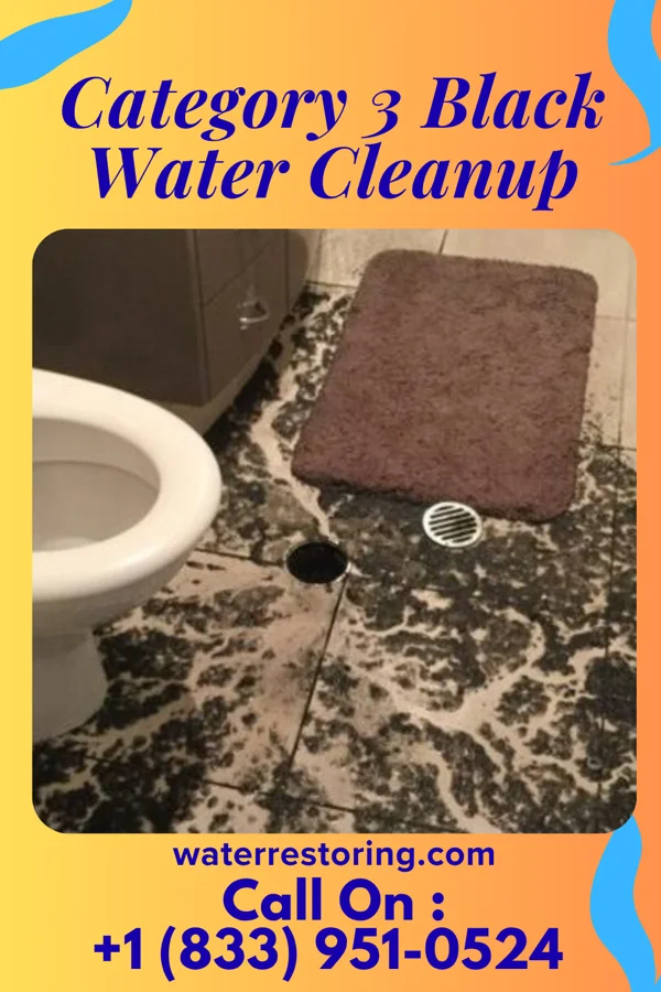 Category 3 Black Water Cleanup in Halfway, MD