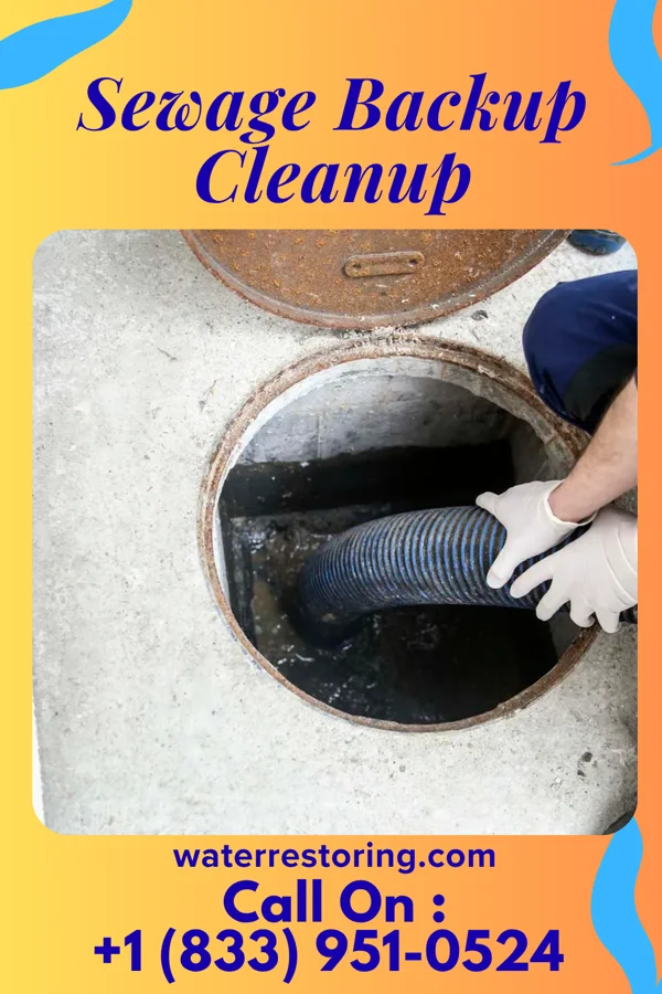 Sewage Backup Cleanup in Halfway, MD